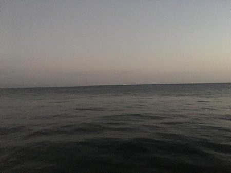 サビキでアジ釣り